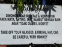 Take off your glasses, earring, hat, cap. Be careful with monkey